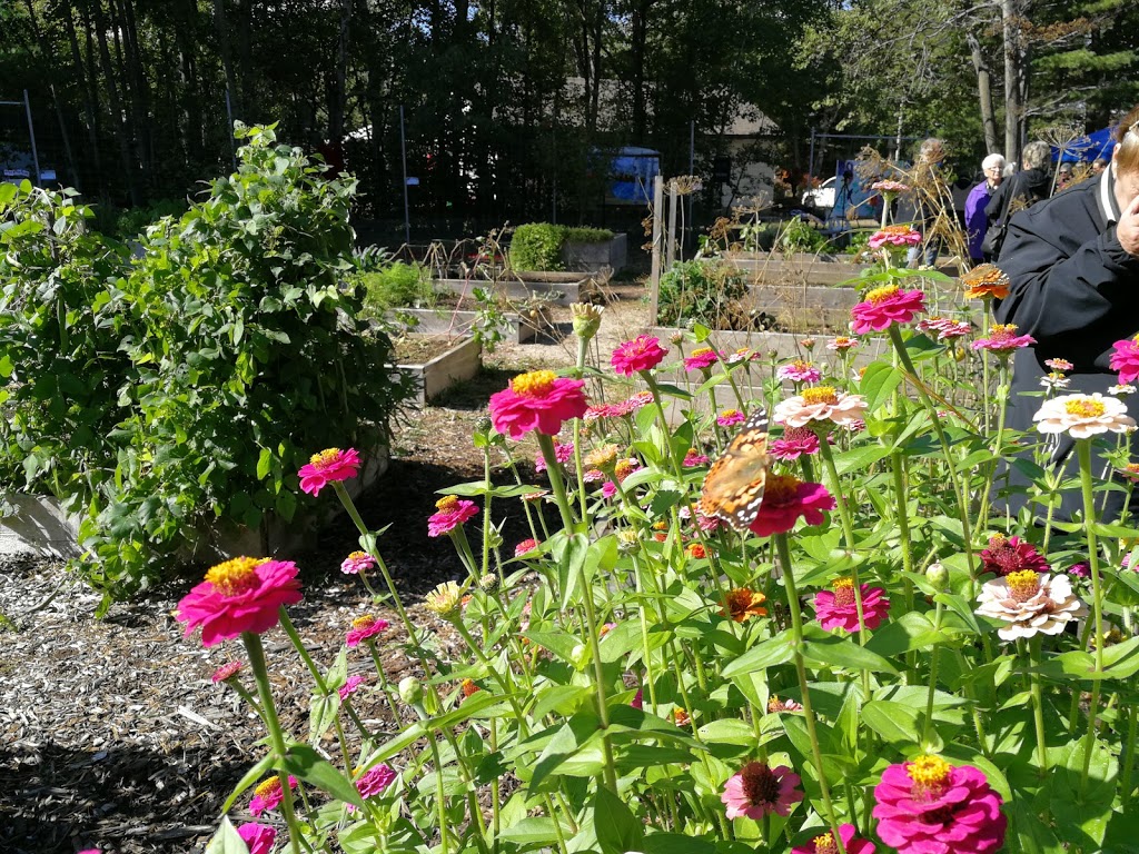 Community Garden | Wasaga Beach, ON L9Z 2X5, Canada