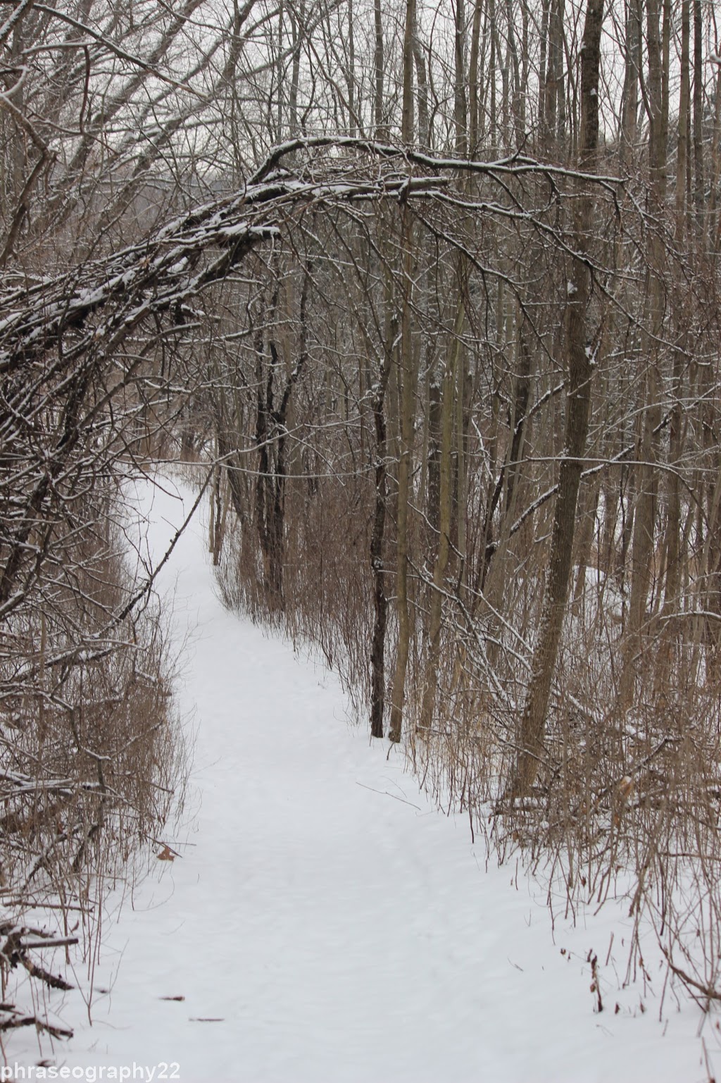 Walker Woods | Goodwood, ON L0C 1A0, Canada