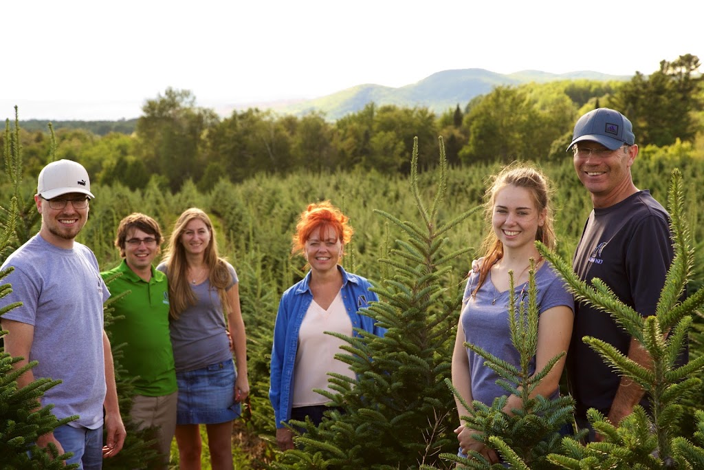 Downey Tree farm & Nursery | 6196 Chem. North, Hatley, QC J0B 4B0, Canada | Phone: (819) 566-0319