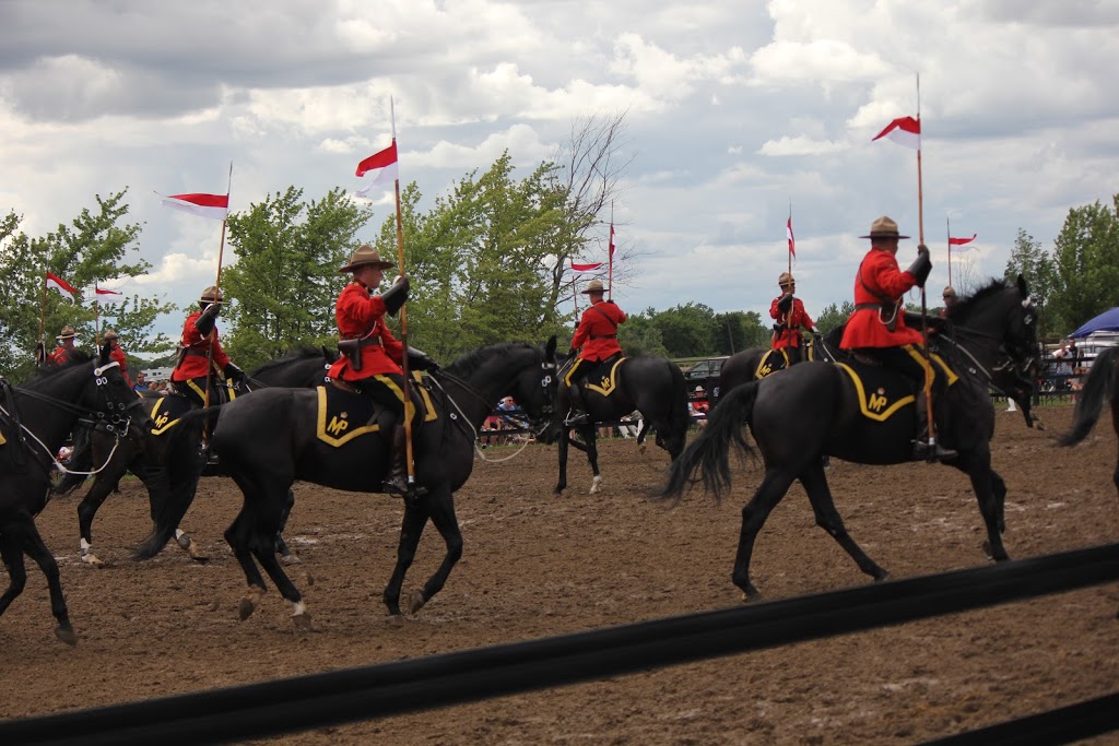 Windsor - Essex Therapeutic Riding Association | 3323 N Malden Rd, Essex, ON N8M 2X6, Canada | Phone: (519) 726-7682