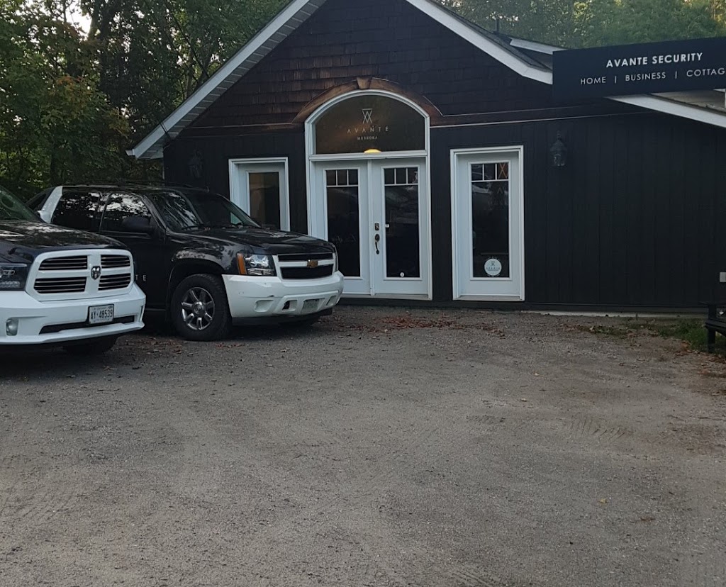 Avante Security Muskoka | 124A Medora St, Port Carling, ON P0B 1J0, Canada | Phone: (705) 765-7700