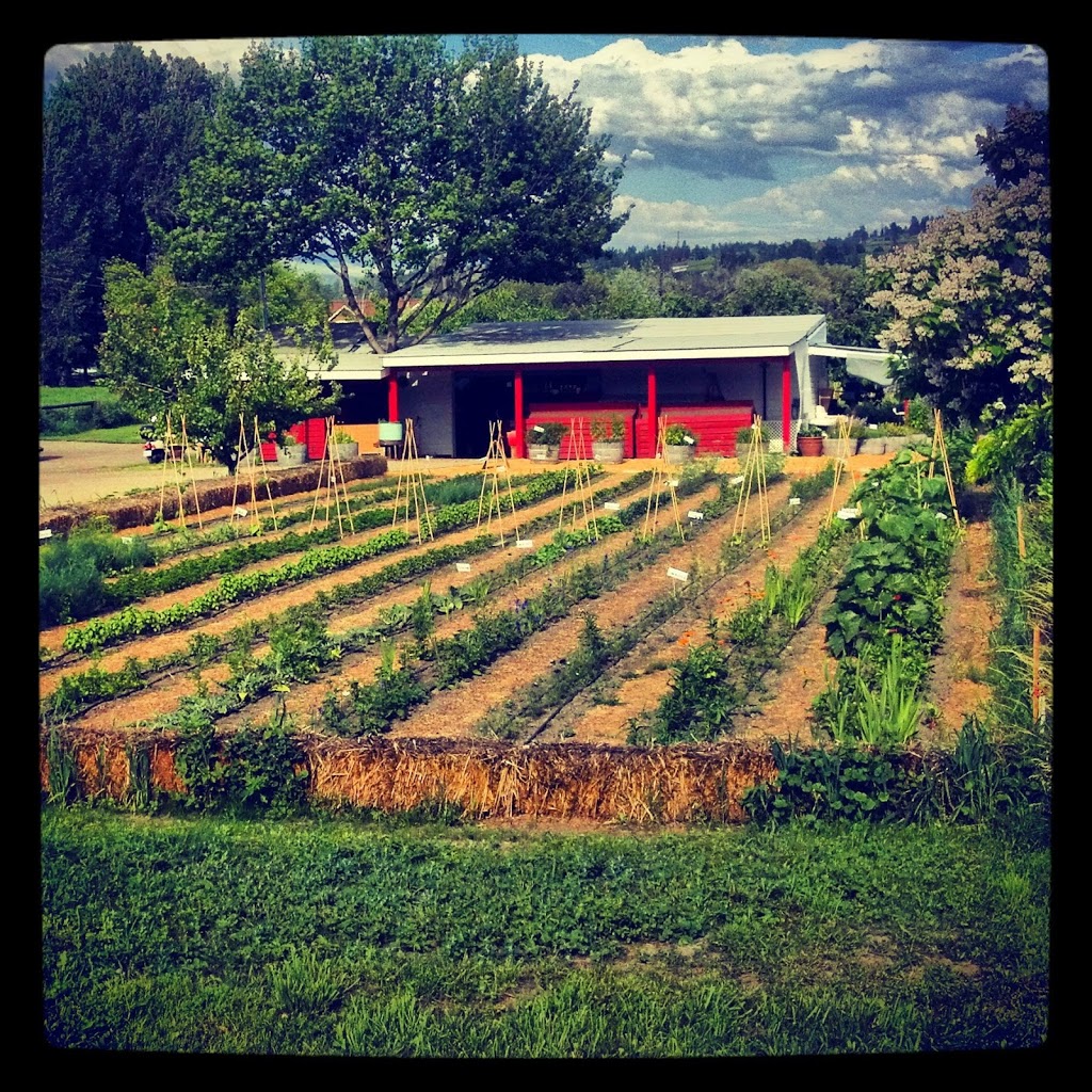 Old Meadows Organic Farm & Market | 4213 Gordon Dr, Kelowna, BC V1W 1S4, Canada | Phone: (250) 764-0931