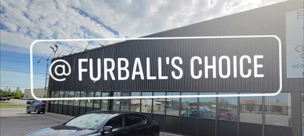 Furballs Choice | 300 Bell Blvd, Belleville, ON K8P 5H7, Canada | Phone: (613) 743-3600