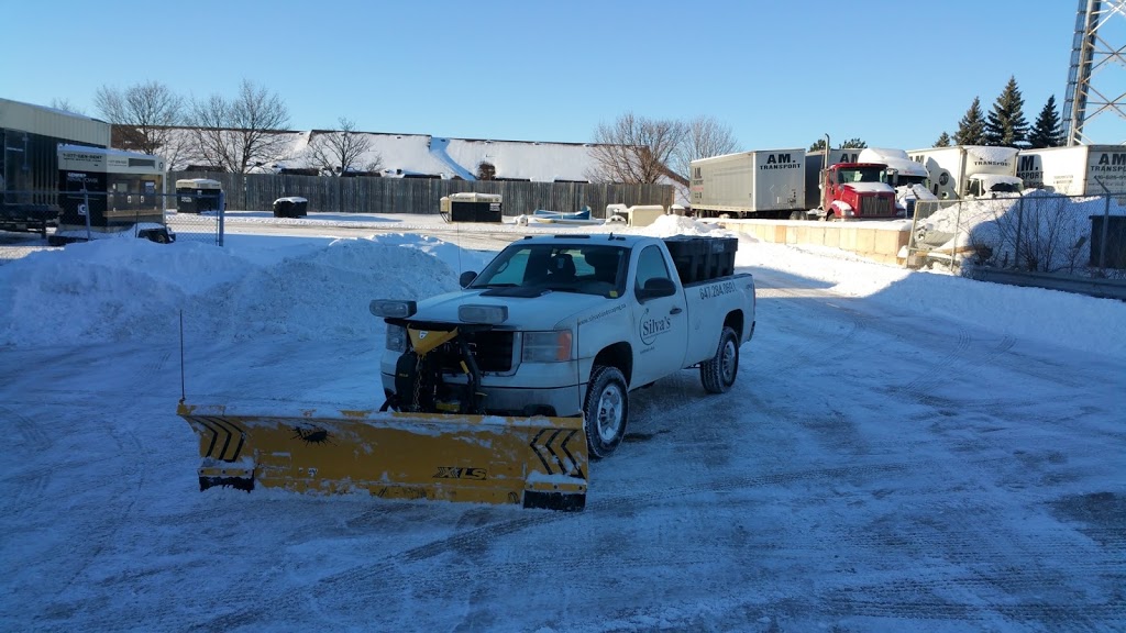 Silvas Landscaping & Snow Plowing | 502-1000 Cedarglen Gate, Mississauga, ON L5C 3Z5, Canada | Phone: (647) 284-0691