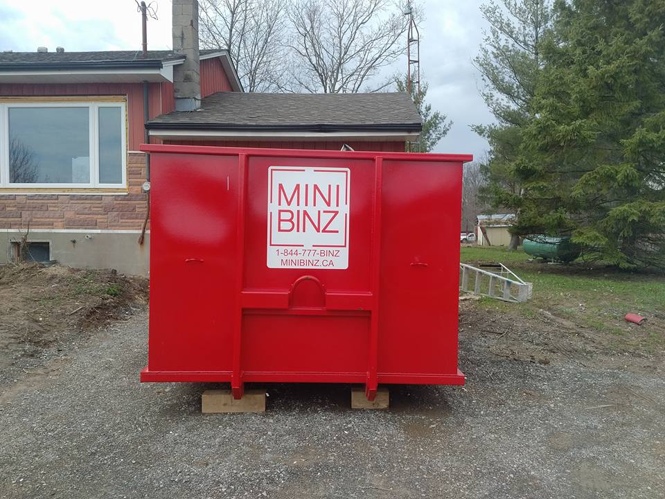 Mini Binz | 1900 Allanport Rd, Allanburg, ON L0S 1A0, Canada | Phone: (905) 378-3381