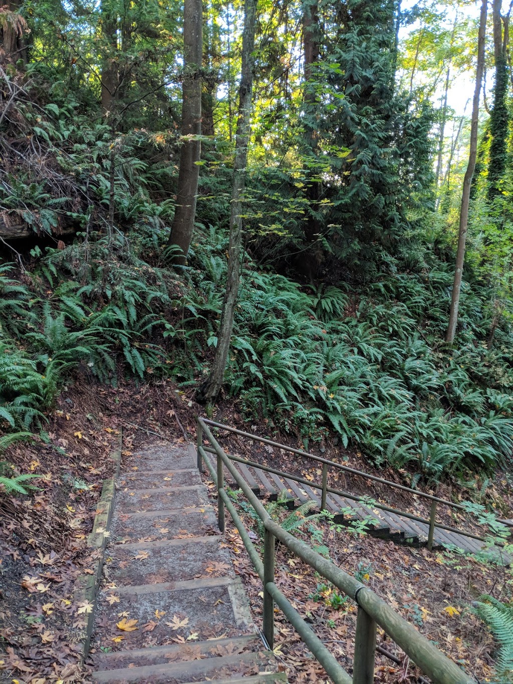 Tower Beach Trail | Trail 3, Vancouver, BC V6T 1X8, Canada