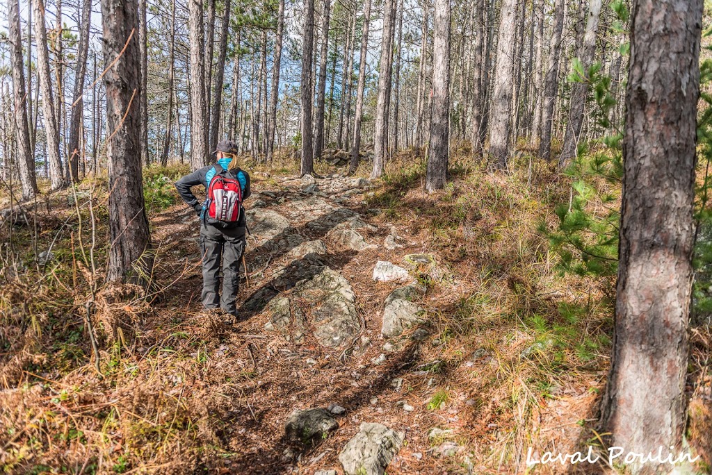 Serpentine-de-Coleraine Ecological Reserve | Saint-Joseph-de-Coleraine, QC G0N 1B0, Canada | Phone: (418) 423-3351