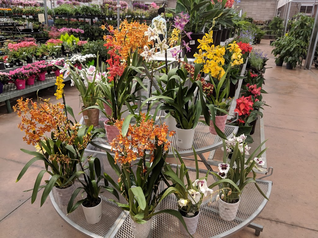 Greengate Garden Centres | 14111 Macleod Trail, Calgary, AB T2Y 1M6, Canada | Phone: (403) 256-1212