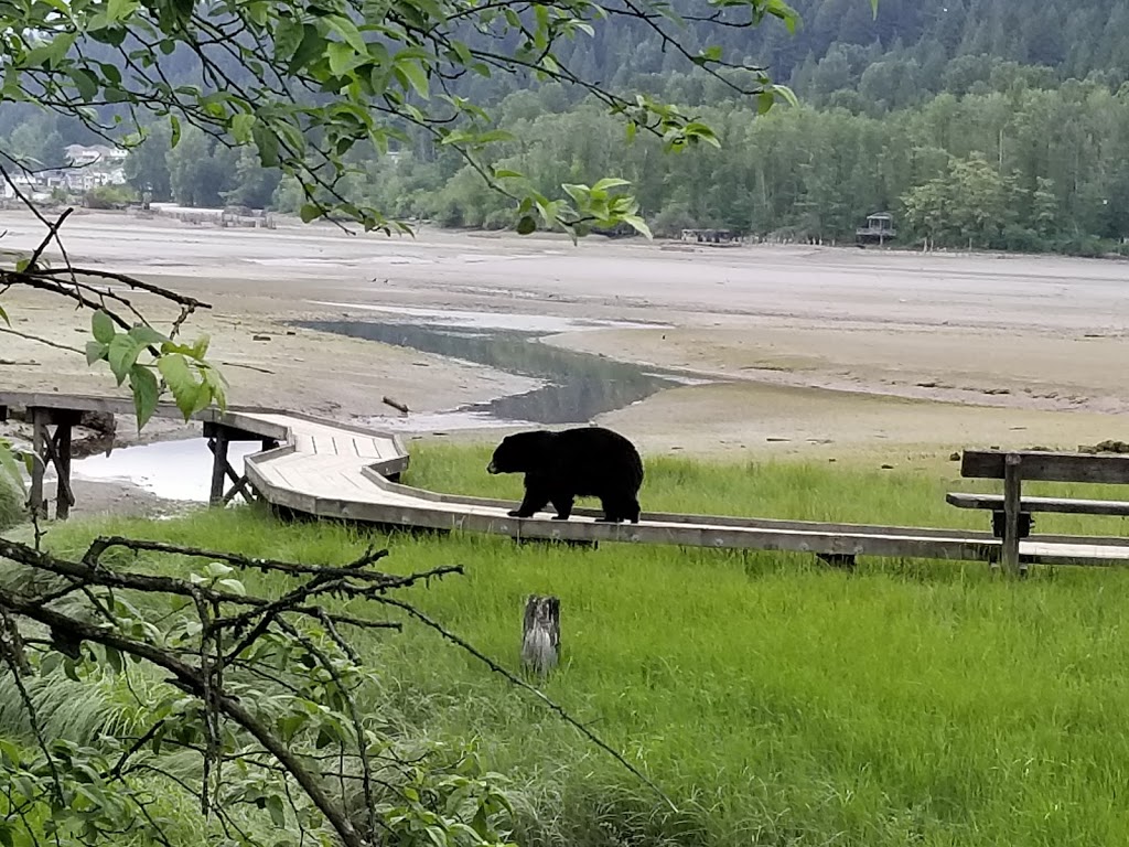 Rocky Point Trail | 2800 Murray St, Port Moody, BC V3H 1X2, Canada