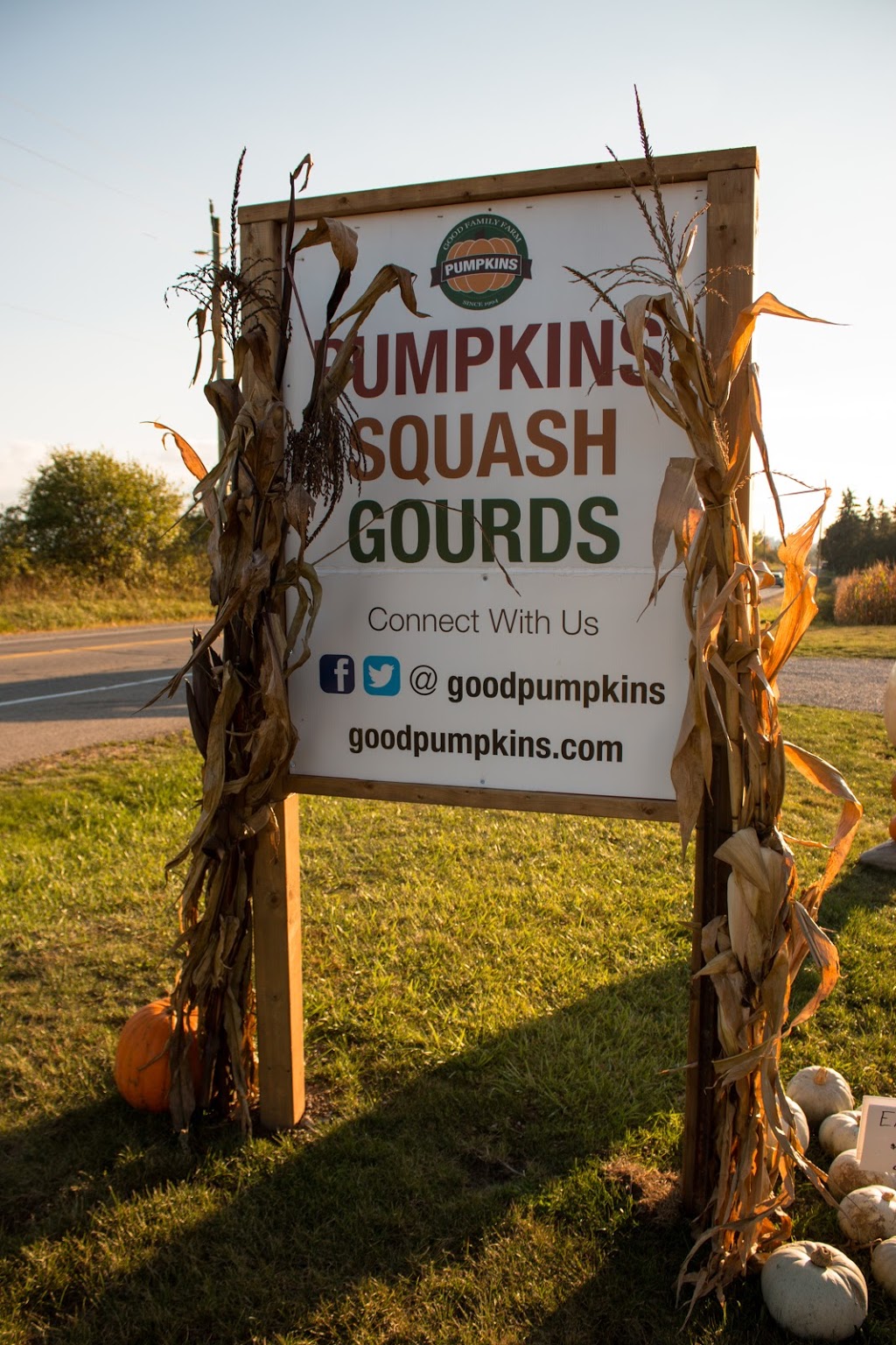 Good Family Pumpkins | 909 Bridge St E, Waterloo, ON N2J 4G8, Canada | Phone: (519) 635-6653