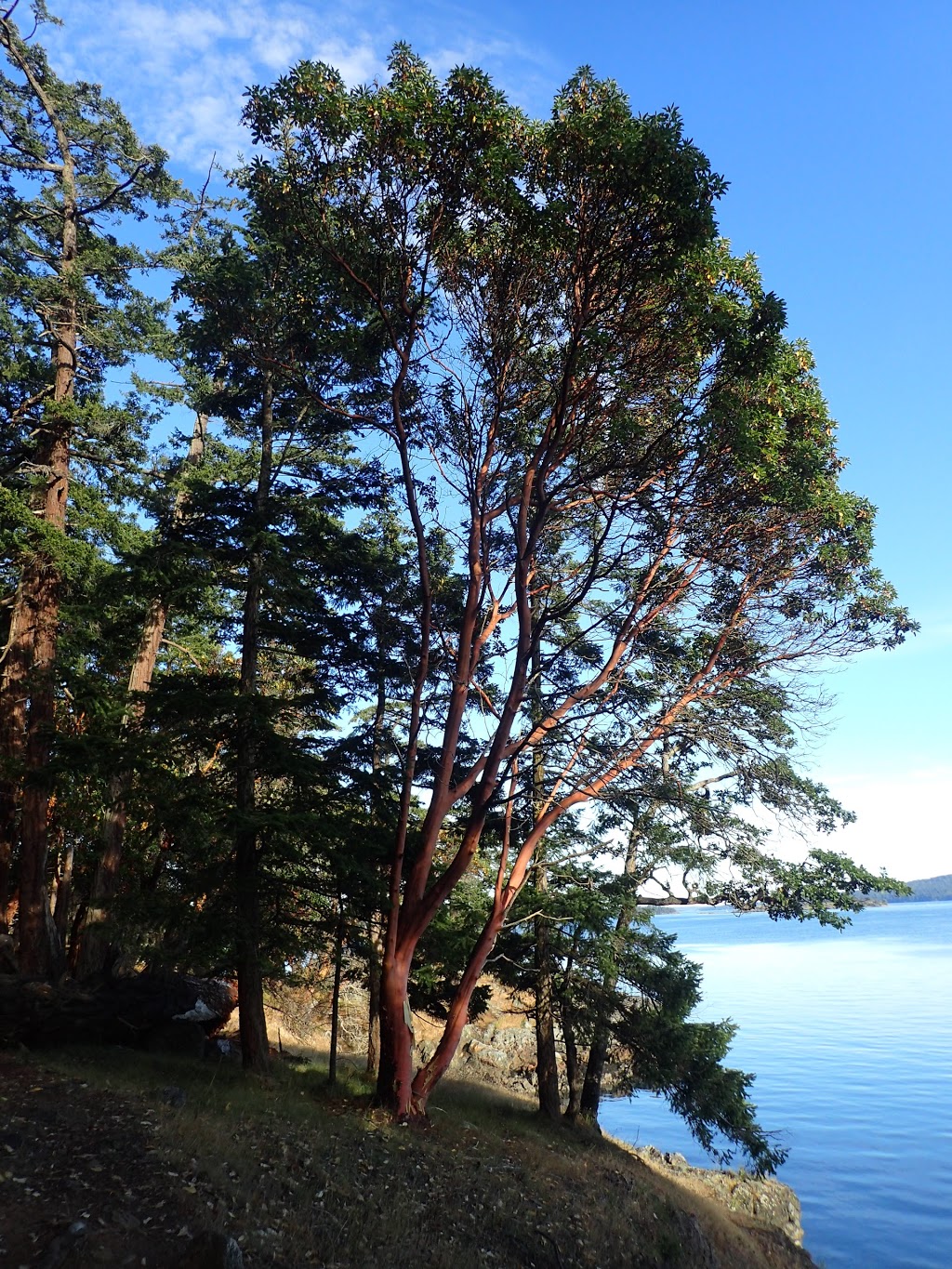 Jones Island State Park | Eastsound, WA 98245, USA