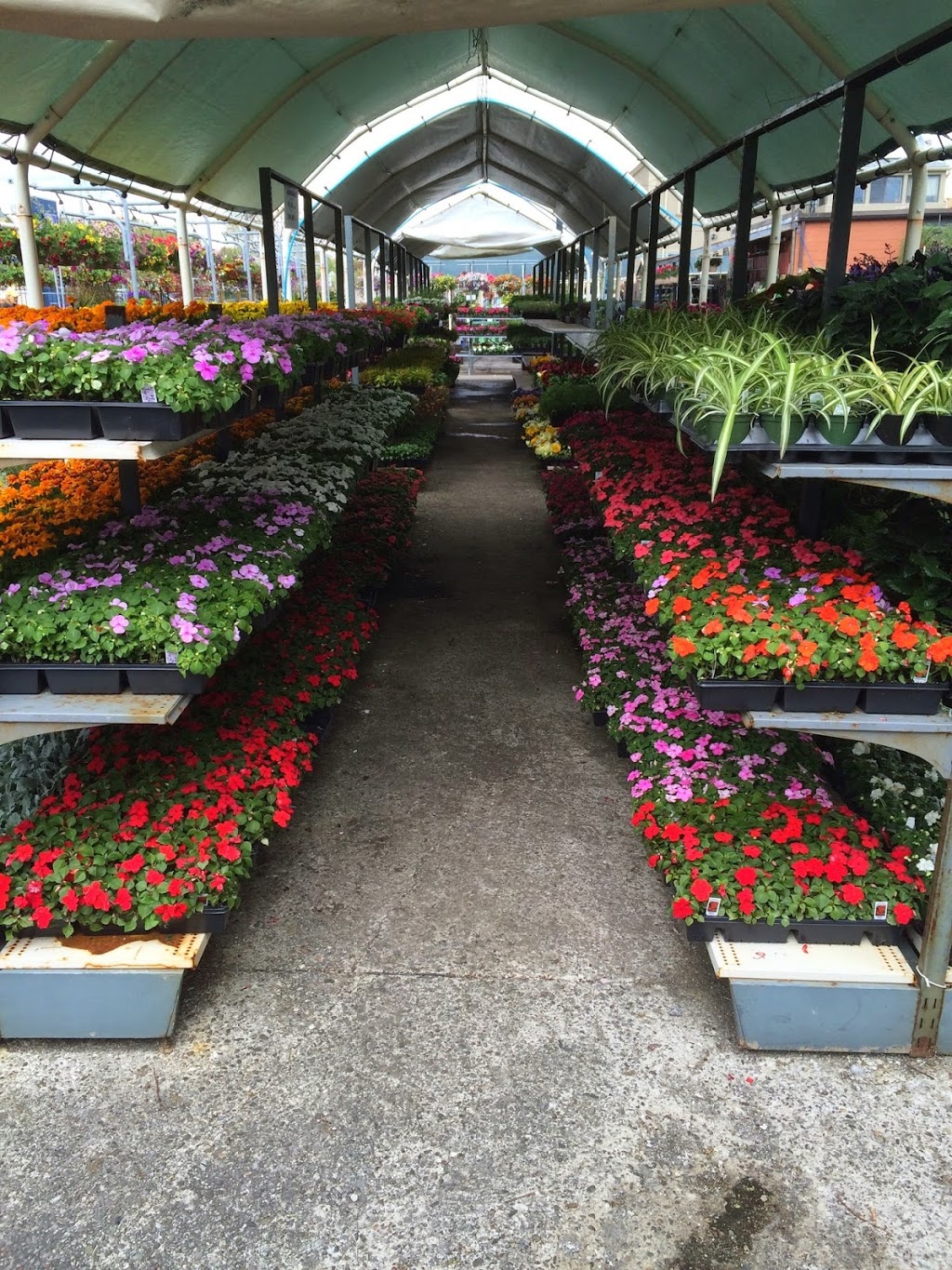 Down 2 Earth Garden Centre | 158 Park Lawn Rd, Etobicoke, ON M8Y 3H8, Canada | Phone: (416) 259-8291