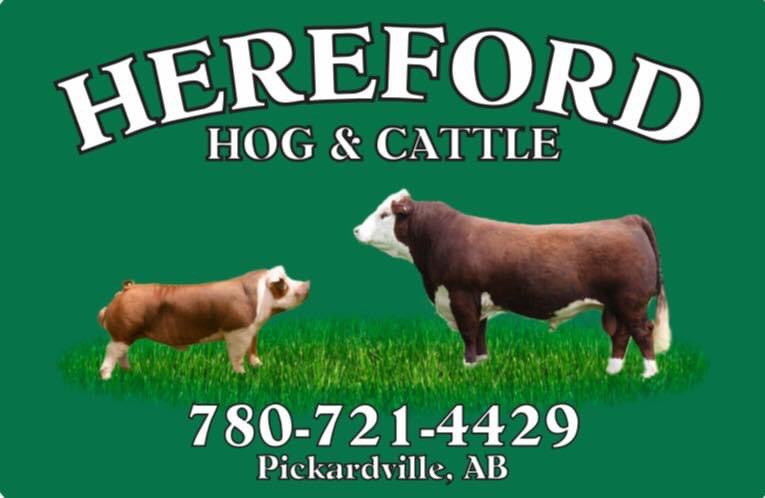 Hereford Hog & Cattle | RR 1, Pickardville, AB T0G 1W0, Canada | Phone: (780) 721-4429