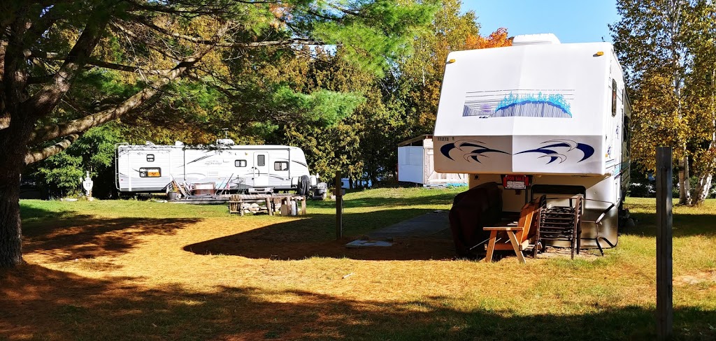Palmerston Lake Campground | 1000 Park Hill Ln, Ompah, ON K0H 2J0, Canada | Phone: (416) 319-8845