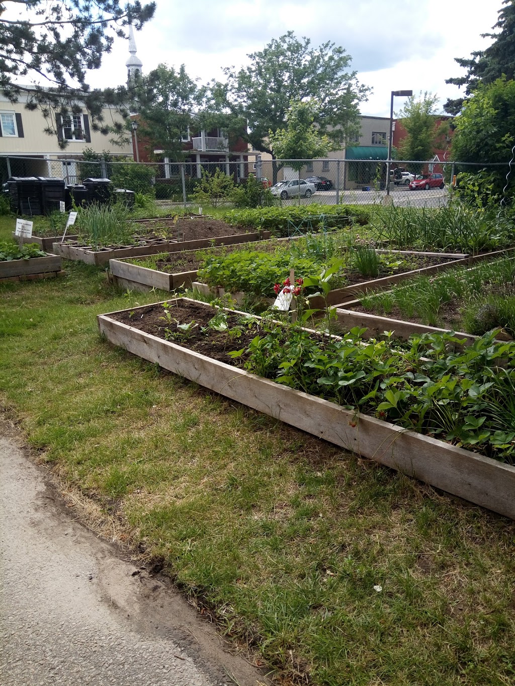 Lowertown Community Garden | 1G1, Patro St, Ottawa, ON K1N 1G1, Canada | Phone: (613) 789-3930