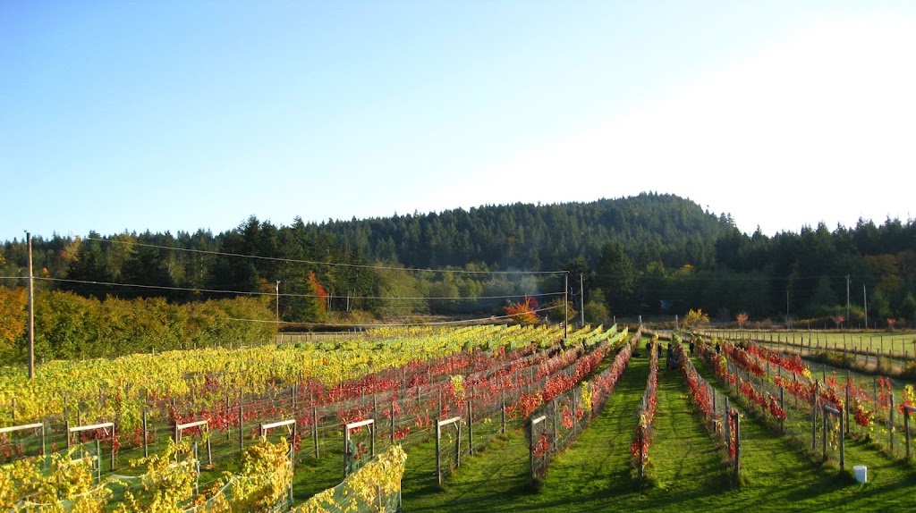 Isla de Lerena Vineyard | 1885 Central Rd, Hornby Island, BC V0R 1Z0, Canada | Phone: (250) 335-2491