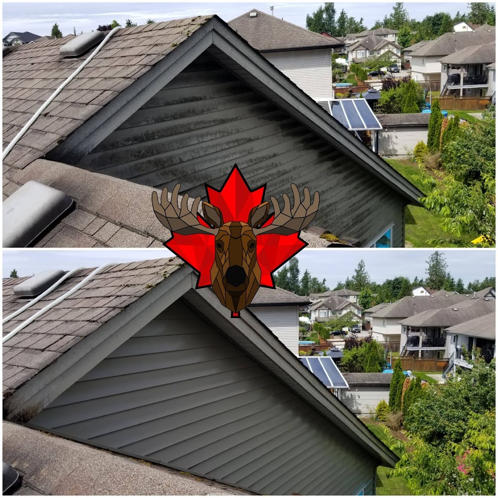 Big Moose Power Washing | 11634 Yeo St, Mission, BC V4S 1C9, Canada | Phone: (778) 233-1515