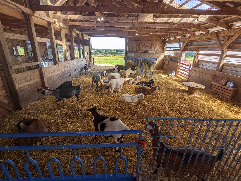 Island Hill Farm | 351 Route 225, Hampshire, PE C0A 1Y0, Canada | Phone: (902) 218-1673