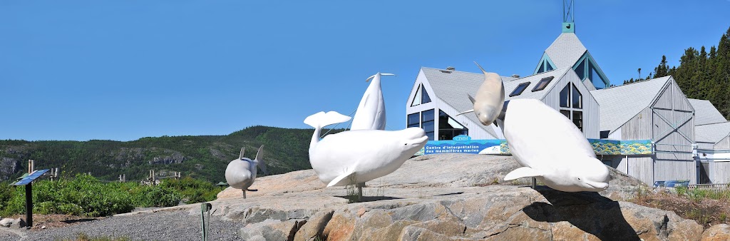 Marine Mammal Interpretation Centre | 108 Rue de la Cale Sèche, Tadoussac, QC G0T 2A0, Canada | Phone: (418) 235-4701