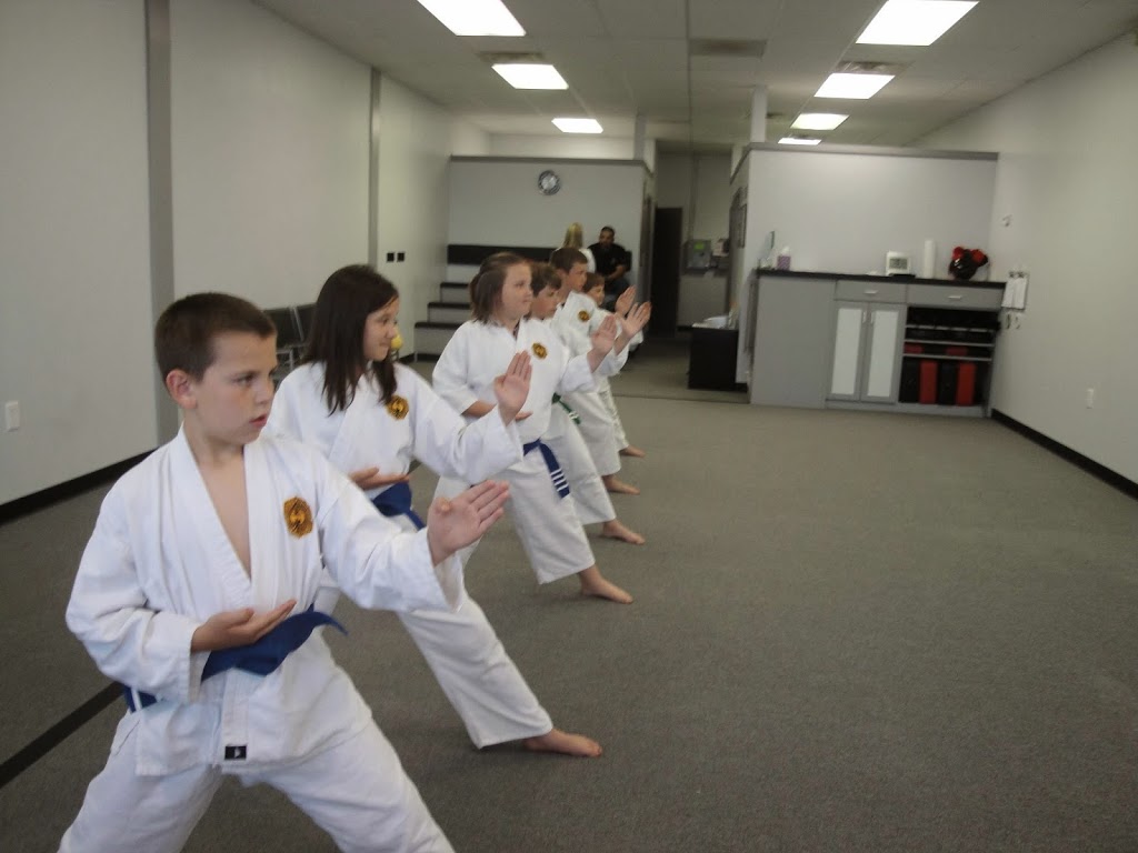 Traditional Karate Dojo | 35224 23 Mile Rd, New Baltimore, MI 48047, USA | Phone: (586) 648-6490