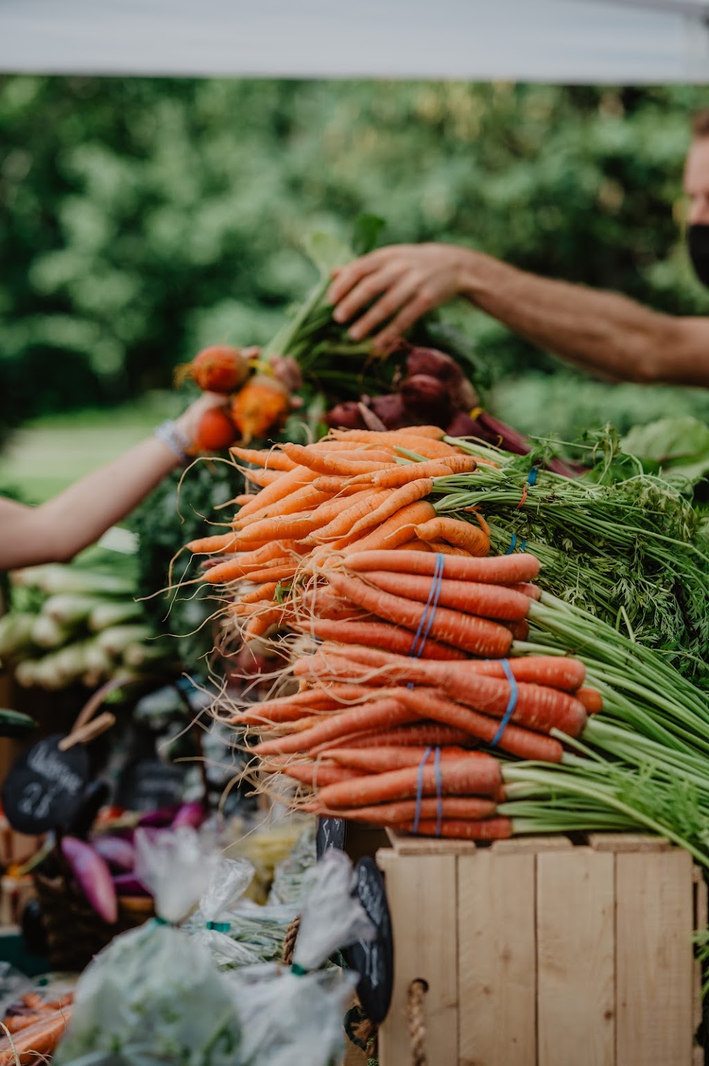 Marché public Cap-Rouge | 4001 Rue Charles A Roy, Québec, QC G1Y 3T8, Canada | Phone: (418) 999-4236