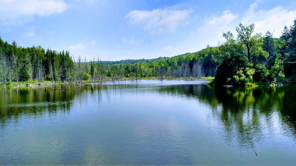 Mono Cliffs Provincial Park | 795122 3rd line, Orangeville, ON L9W 2Y8, Canada | Phone: (705) 435-2498