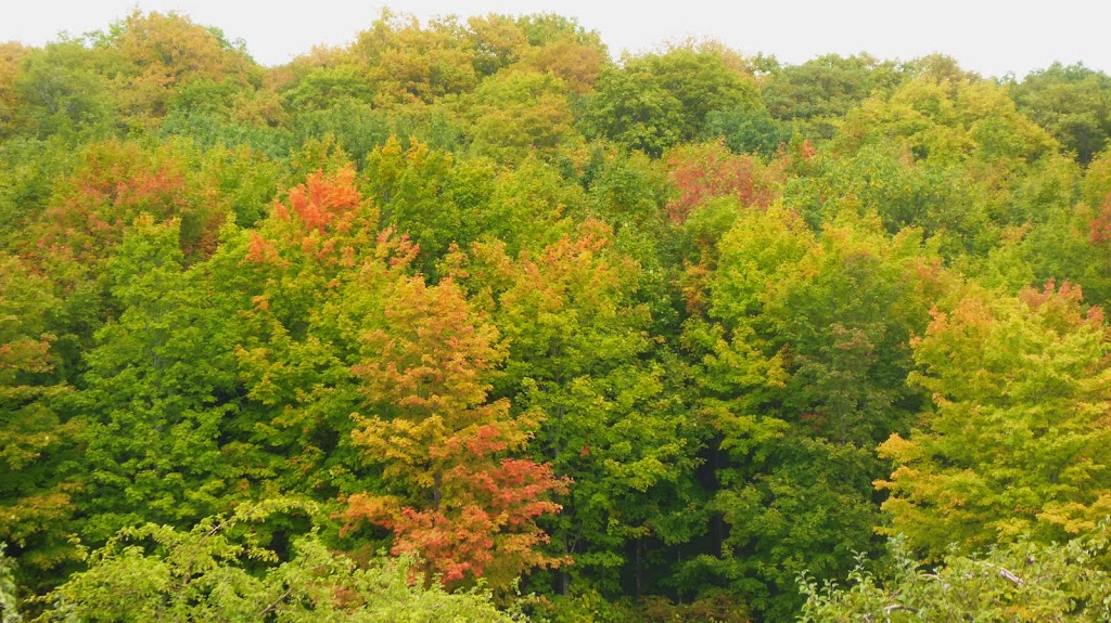 Le Verger Trottier - La Cidrerie des Générations | 4377 Chem. dOka, Saint-Joseph-du-Lac, QC J0N 1M0, Canada | Phone: (514) 830-8691