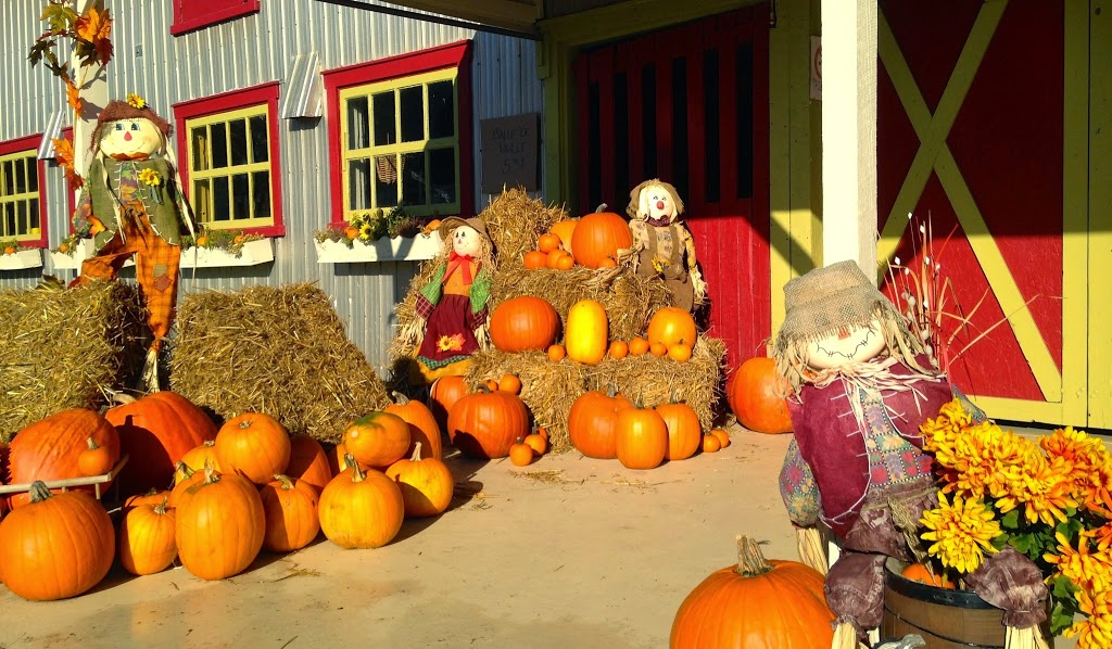 La Ferme à Frédérique | 956 Chemin Vire-Crêpes, Saint-Nicolas, QC G7A 2A1, Canada | Phone: (418) 831-6010