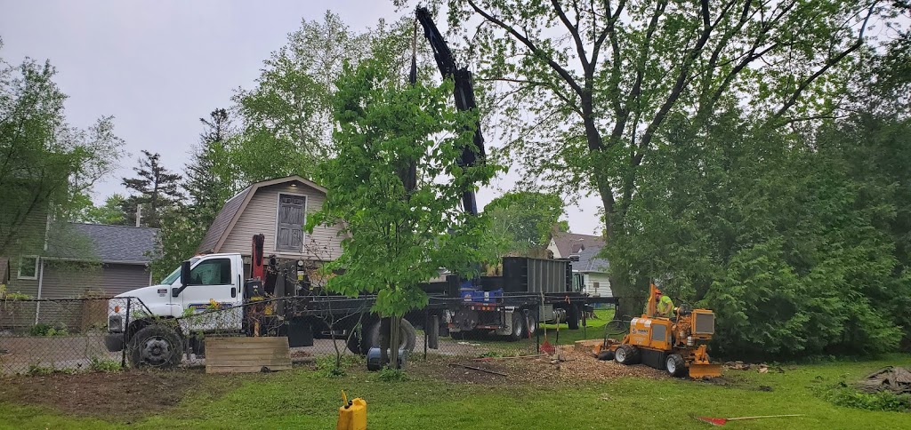 Advanced Tree Care | 1598 Queensville Side Rd, Queensville, ON L0G 1R0, Canada | Phone: (905) 478-2300