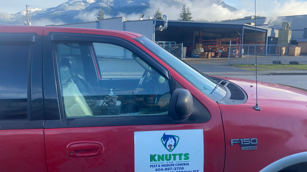 Knutts Pest and Wildlife Control | 46649 Balsam Ave, Chilliwack, BC V2P 6P6, Canada | Phone: (604) 997-3706