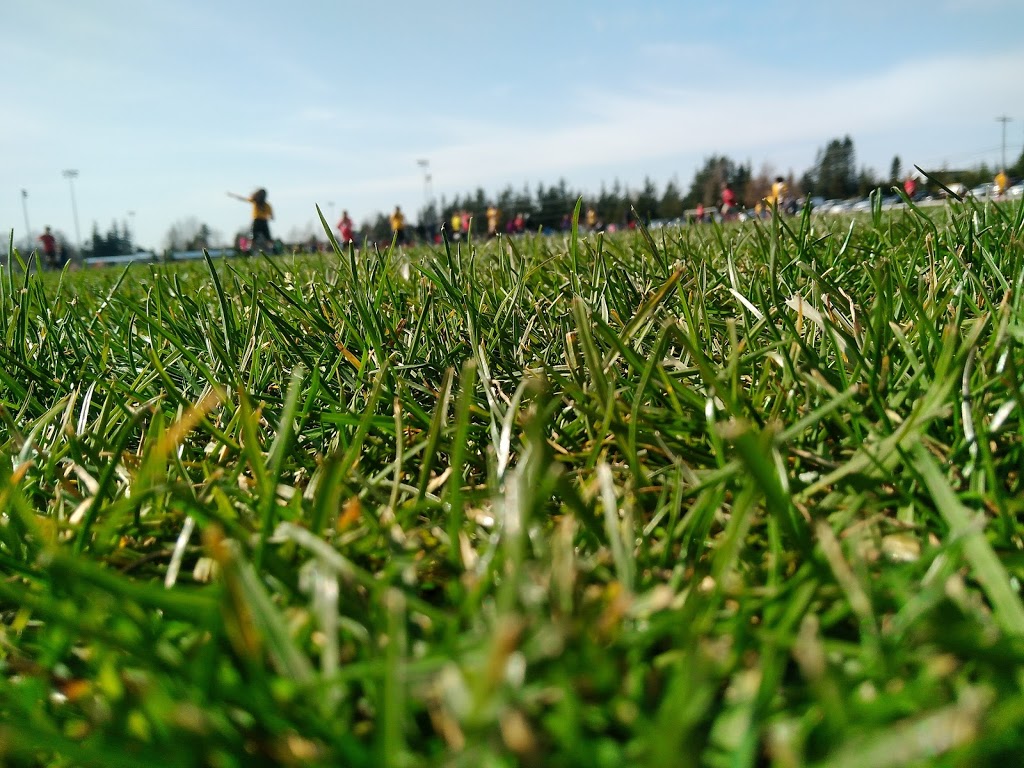 Phillips 66 Soccer Field | 5238 Northwest Dr, Bellingham, WA 98226, USA