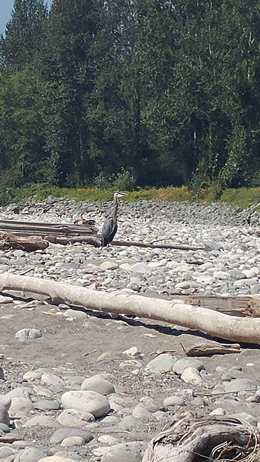 Lickman Vedder River Parking Lot | Greendale, Chilliwack, BC V2R, Canada