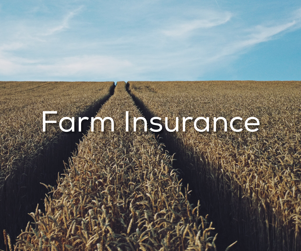 Morison Insurance Haldimand | 6 Parkview Rd, Hagersville, ON N0A 1H0, Canada | Phone: (905) 768-3384