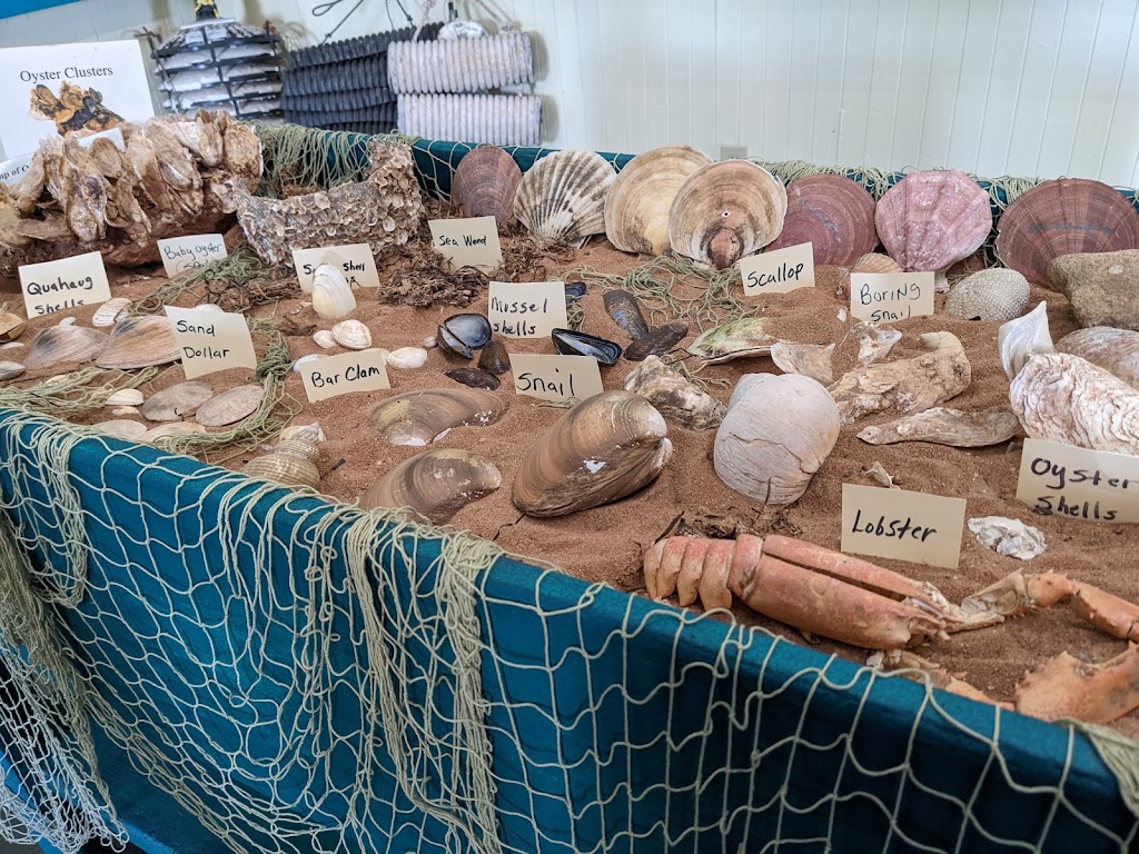 PEI Shellfish Museum | 144 Bideford Rd, Ellerslie, PE C0B 1J0, Canada | Phone: (902) 831-3374