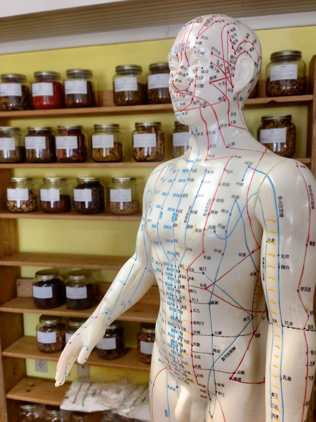 Salin Acupuncture & Herbal Medicine | 1989 Kaye Rd, Nanoose Bay, BC V9P 9L6, Canada | Phone: (250) 816-5369