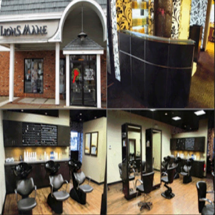 The Lions Mane Salon | 5225 Sheridan Dr, Williamsville, NY 14221, USA | Phone: (716) 626-0996