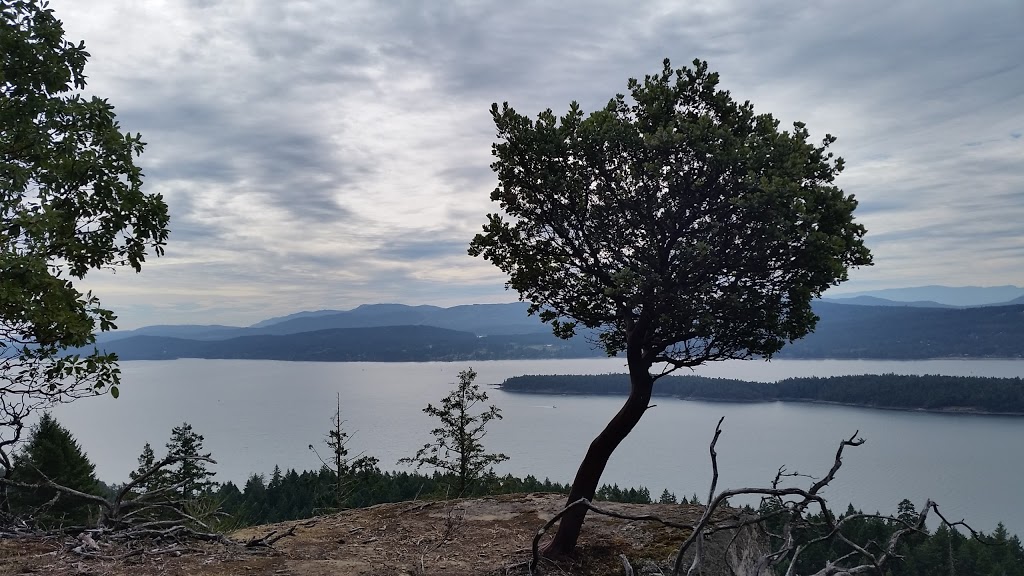 Bodega Ridge Provincial Park | Galiano Island, BC V0N 1P0, Canada | Phone: (800) 689-9025