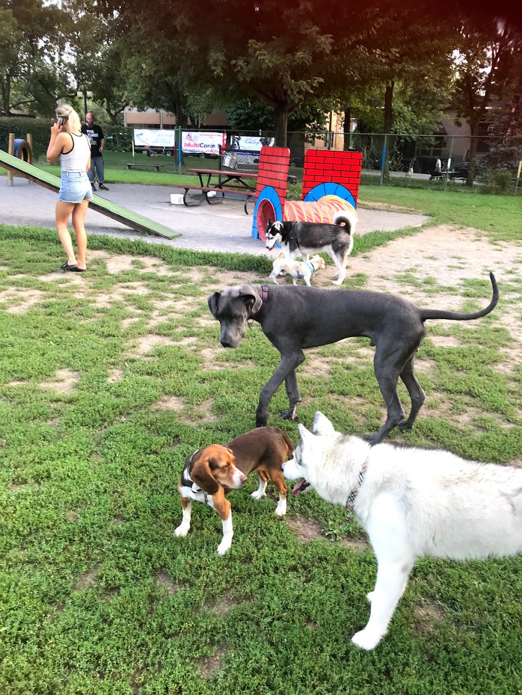 Sault-au-Récollet dog park | 13070 Avenue Charton, Montréal, QC H2B 2E1, Canada | Phone: (514) 743-5735