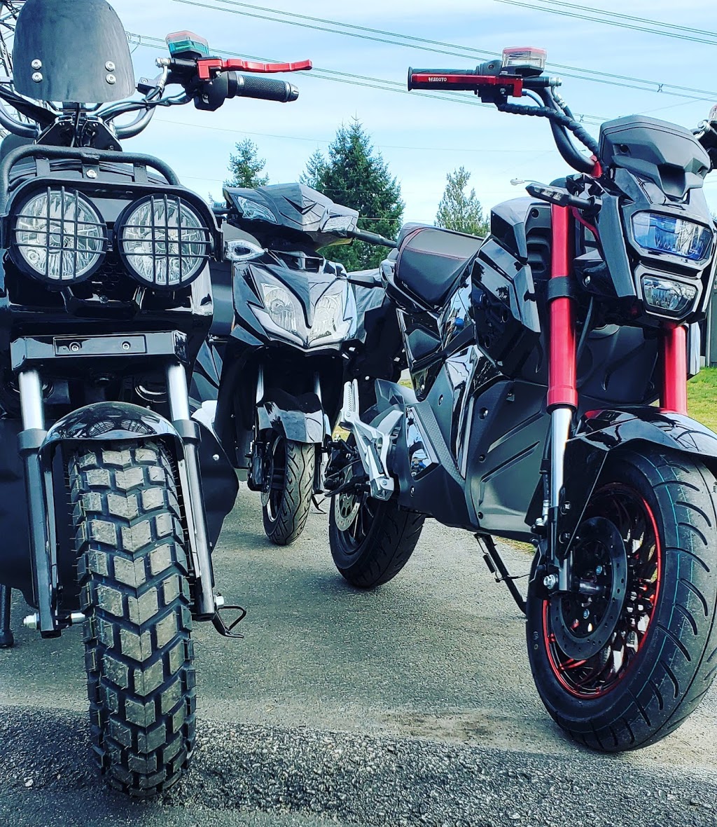 Surrey Ebikes Electric Cycles and Toys | 14017 110 Ave, Surrey, BC V3R 1Z3, Canada | Phone: (778) 512-2063