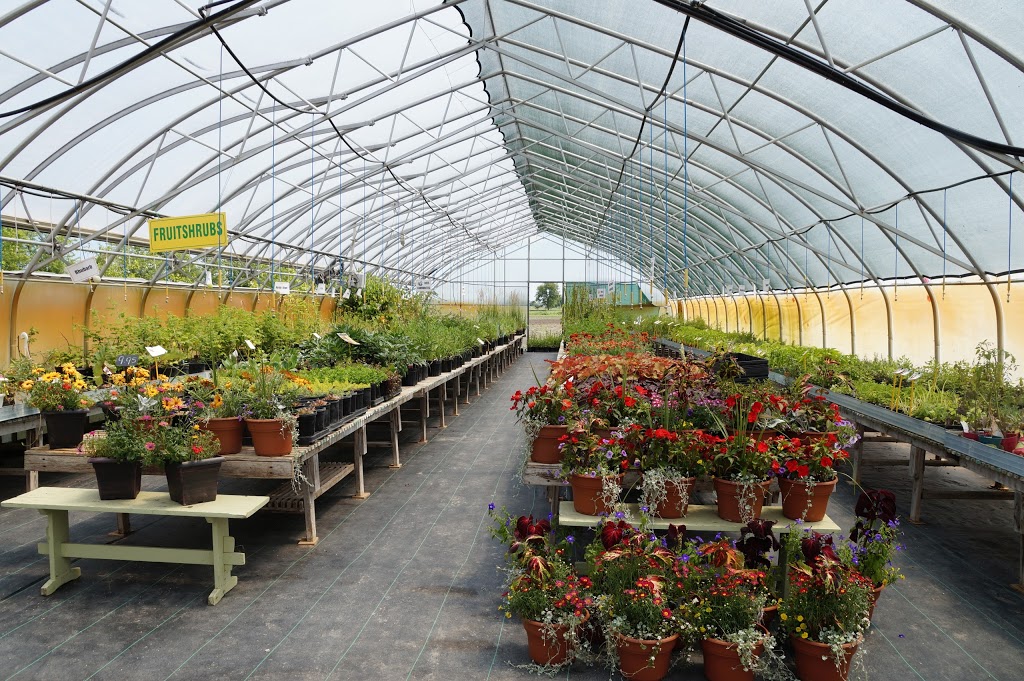 Arthur Greenhouses | 7470 2 Line, Arthur, ON N0G 1A0, Canada | Phone: (519) 848-6816