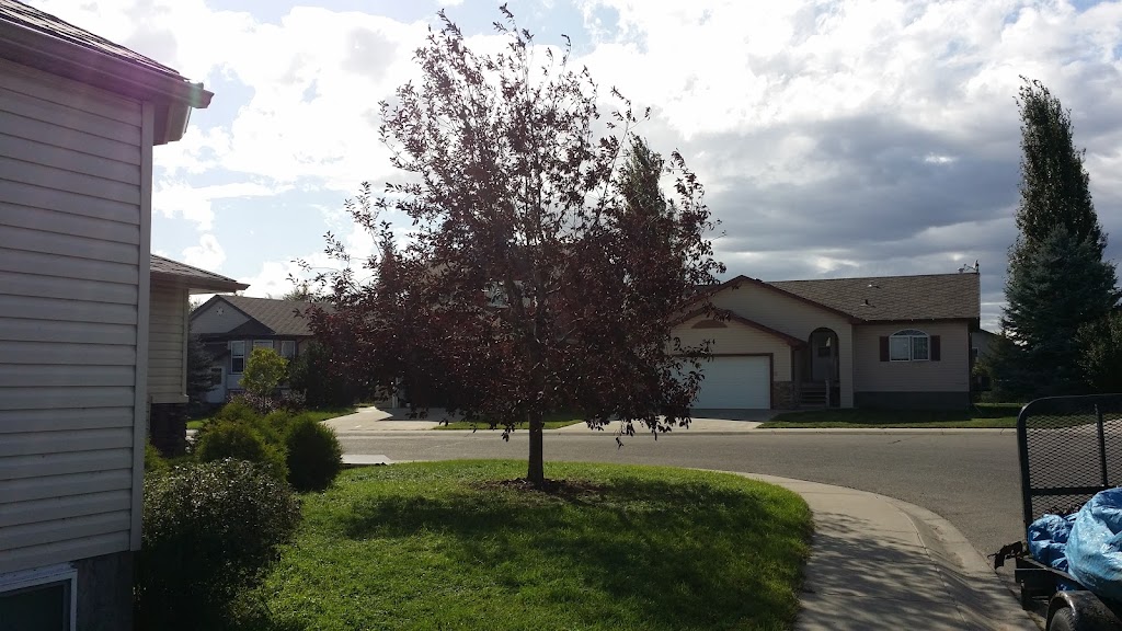 Positive Pruning & Maintenance | Strathford Pl, Strathmore, AB T1P 1S4, Canada | Phone: (403) 608-4762