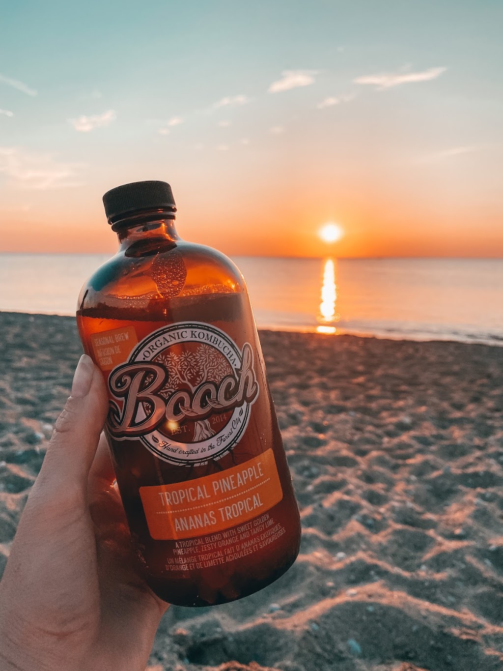 Booch Organic Kombucha | 1027 Clarke Rd Unit E, London, ON N5V 3B1, Canada | Phone: (519) 204-2794