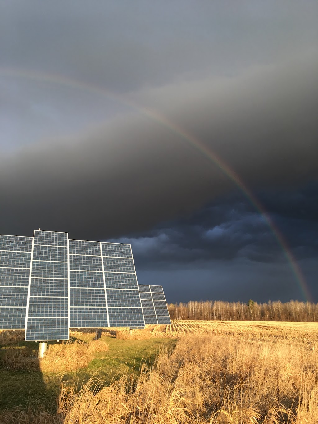 TLCSolar | 6979 Dalmeny Rd, Osgoode, ON K0A 2W0, Canada | Phone: (613) 340-7992