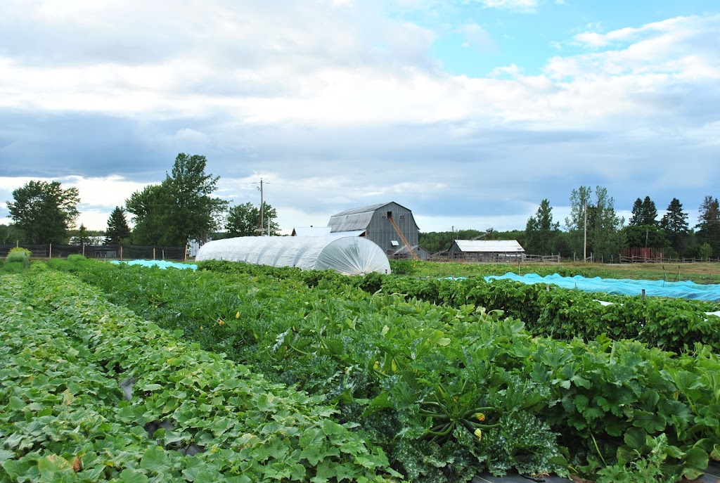 Les Jardins du Haut-Pays | 16 6e Rang, Kamouraska, QC G0R, Canada | Phone: (581) 989-1500