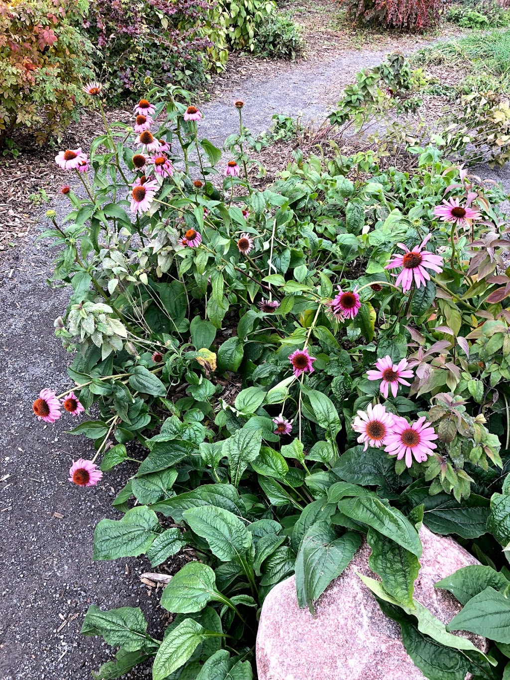 Community Medicine Wheel Garden | Downtown, Edmonton, AB T5J 1N9, Canada