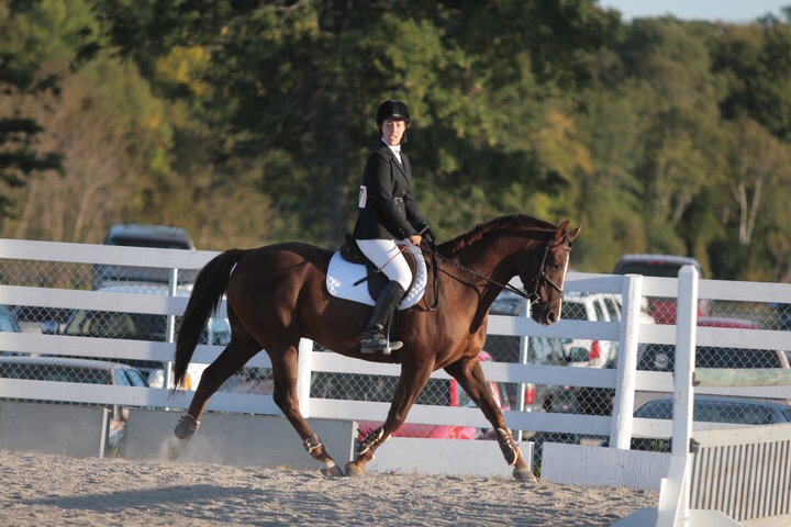 Hess Equestrian | 7790 Concession Rd 5, Uxbridge, ON L9P 1R1, Canada | Phone: (905) 649-0449