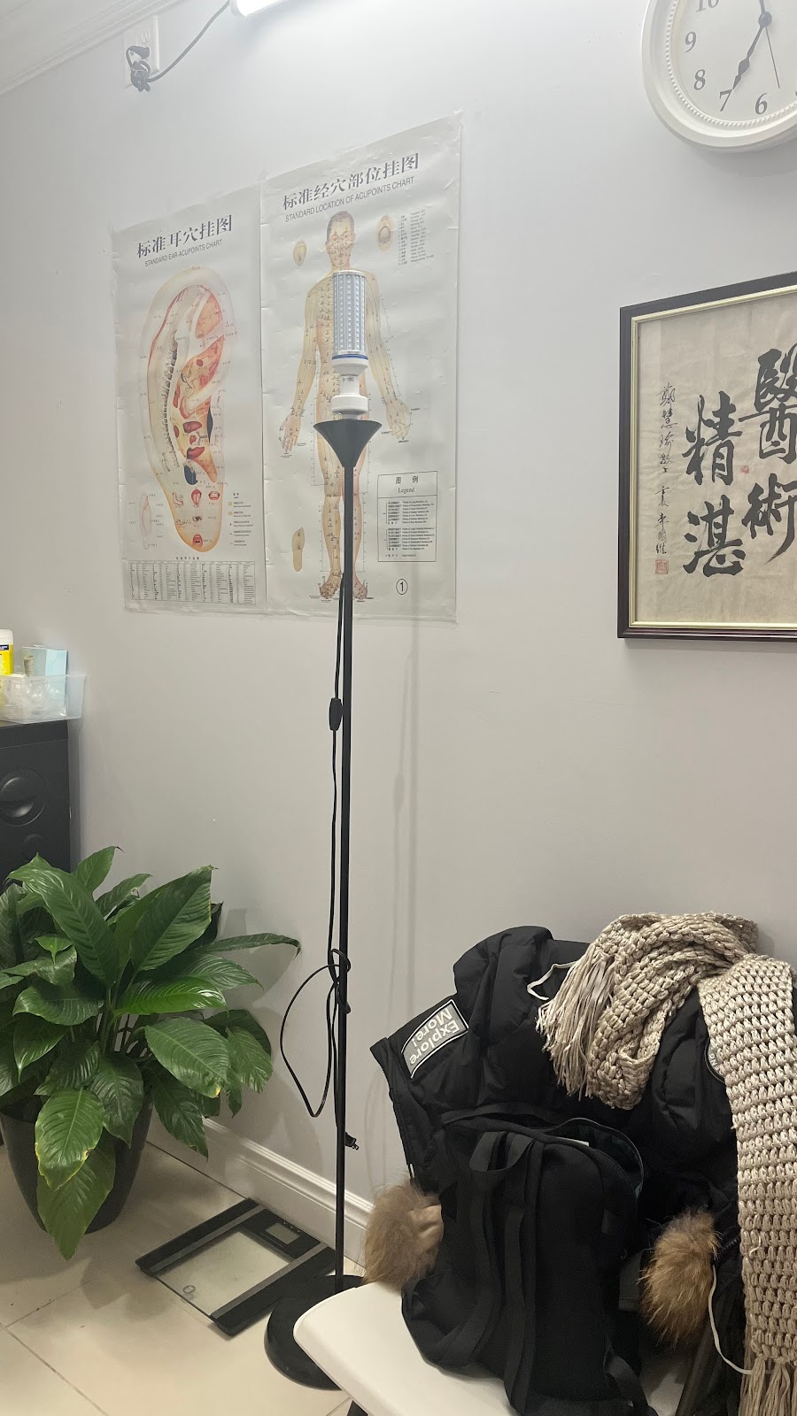 Gao Acupuncture | 619 Wild Ginger Ave B13, Waterloo, ON N2T 2X2, Canada | Phone: (437) 973-6166