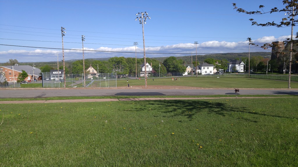 Albion Ball Field | 110 Stellar St, Stellarton, NS B0K 0A2, Canada | Phone: (902) 331-0567