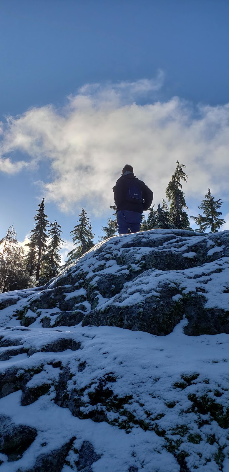 Dog Mountain Trail | 1700 Mt Seymour Rd, North Vancouver, BC V7G 1L3, Canada