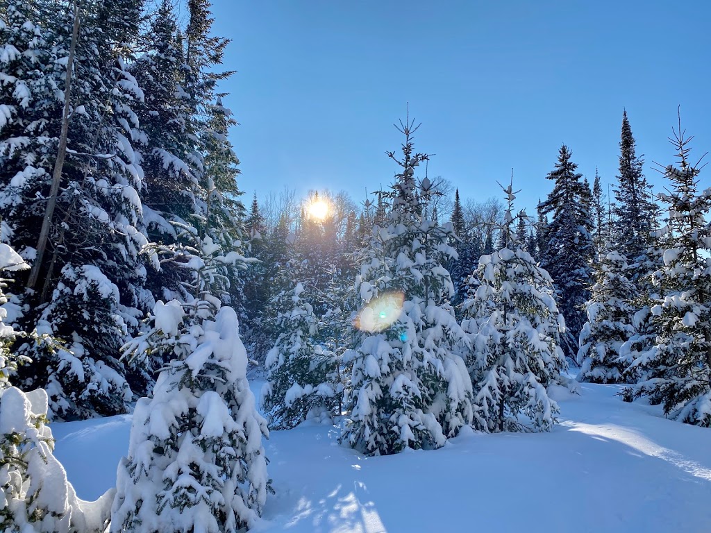 Mont-Tremblant Dogsledding | 121 Chemin de lAlbatros, Mont-Tremblant, QC J8E 1S1, Canada | Phone: (819) 681-5519